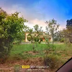 Corfu-Aris Apartments