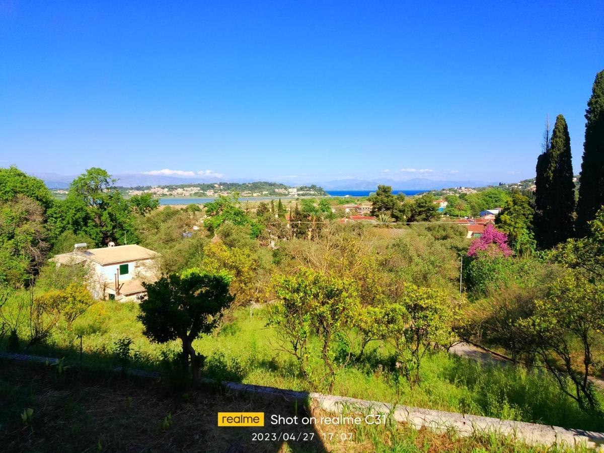 Corfu-aris Virós