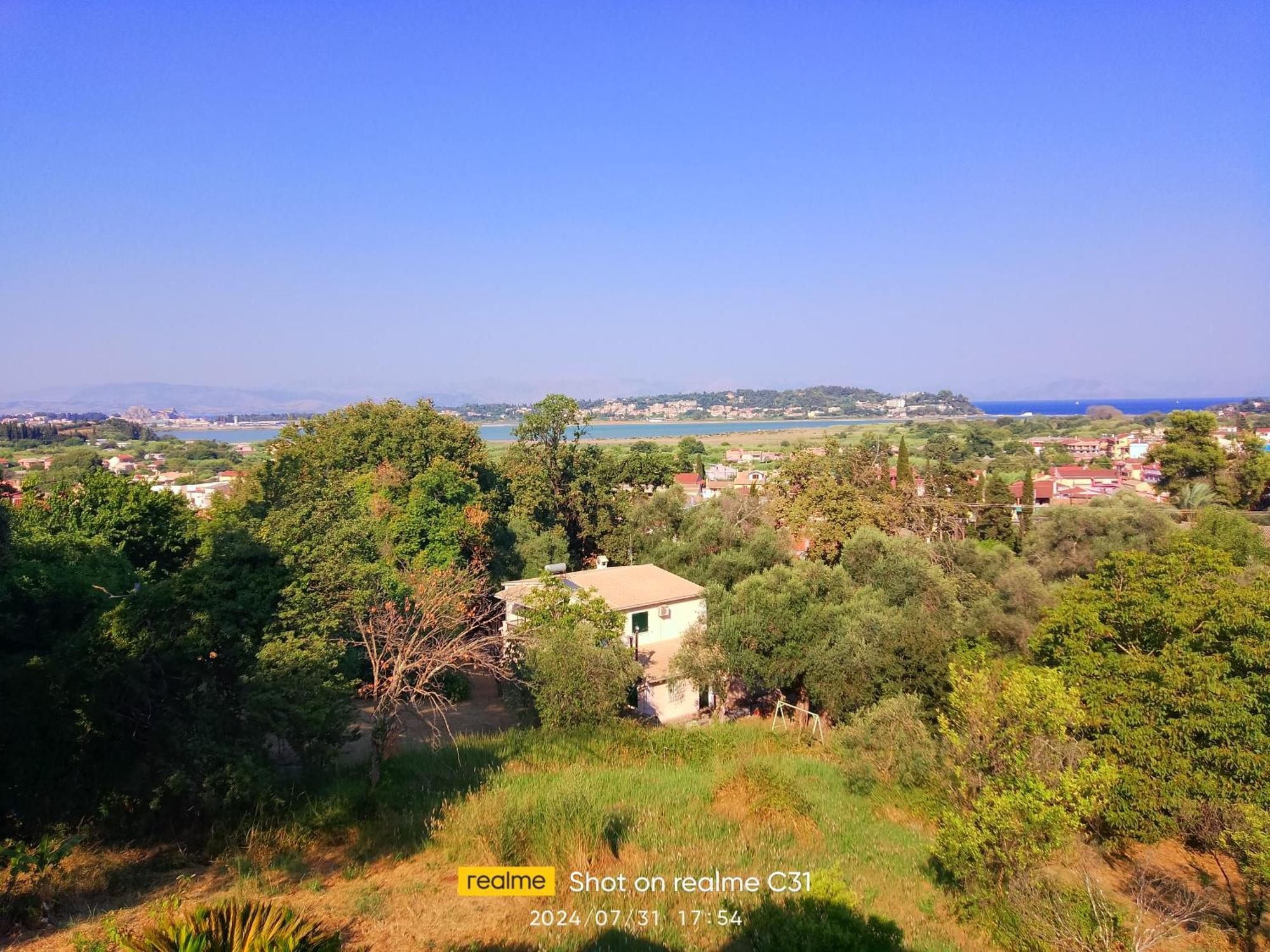 Corfu-aris *
